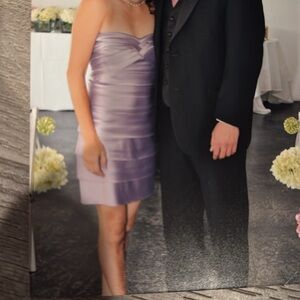 Elegant Strapless Lavender Dress